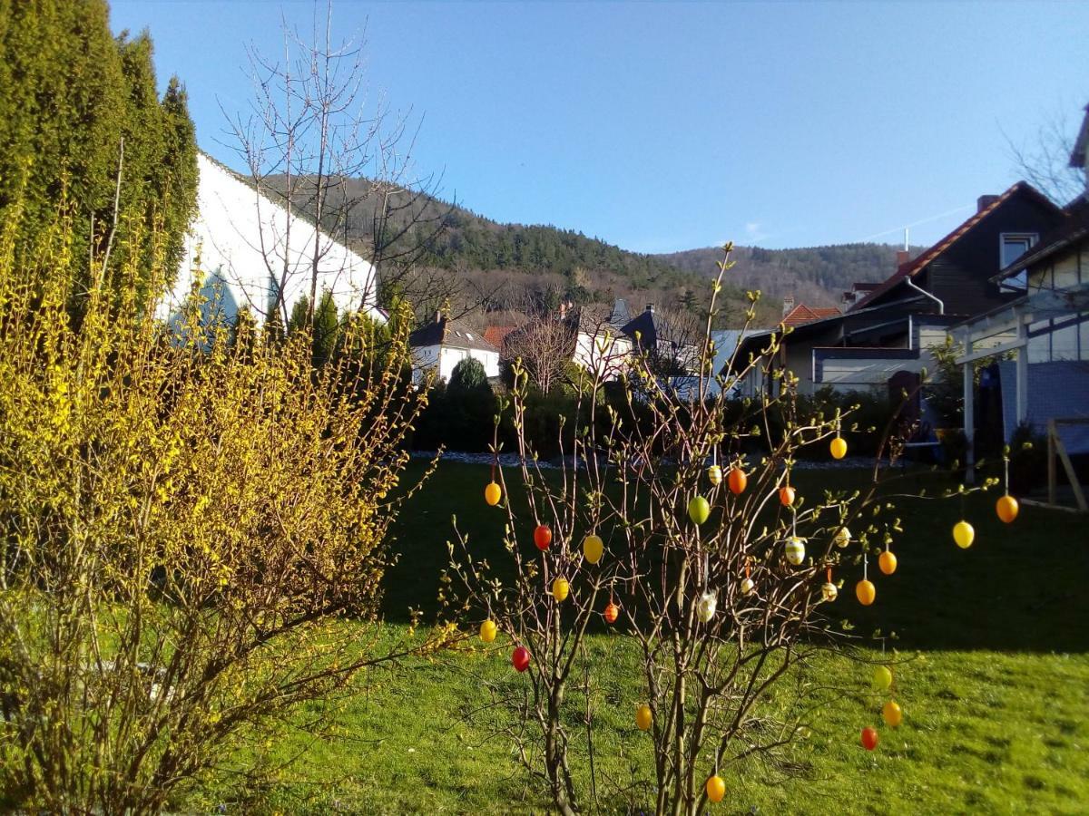 Brockenferien Apartment Bad Harzburg Exterior foto